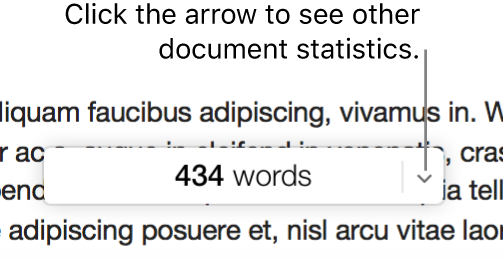 The document statistics pop-up menu showing the word count.