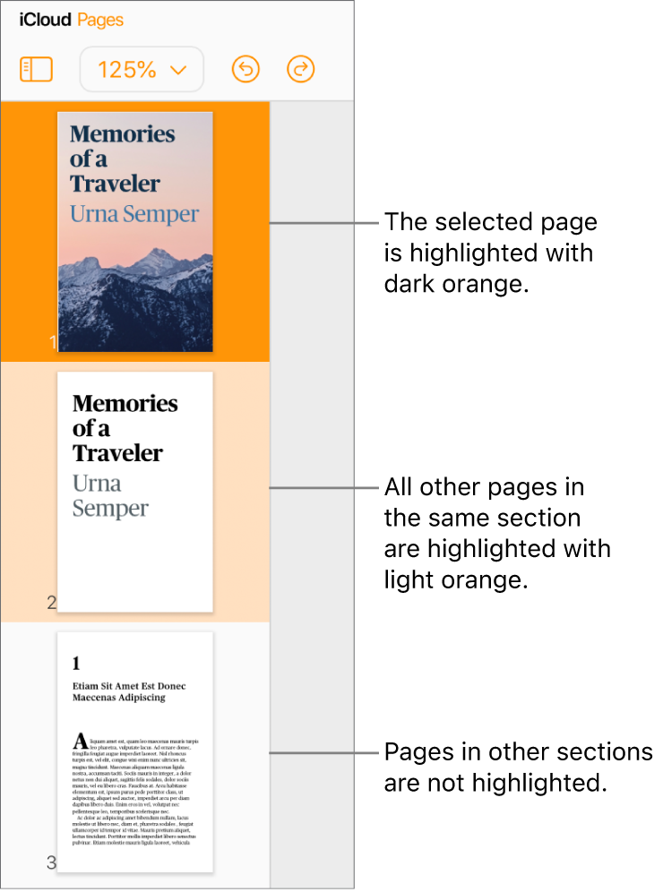 Page Thumbnails in the left sidebar with the selected page highlighted in dark orange and one other page in the same section highlighted in light orange. A page in a different section has no highlighting behind it.