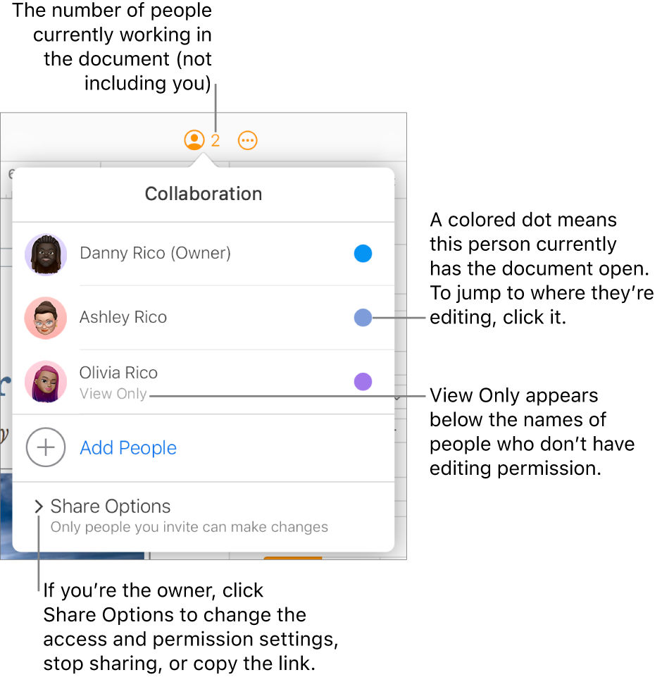 The Collaboration menu open, with a list of three participants (one with View Only access privileges), an option to Add People, and a Share Options section.