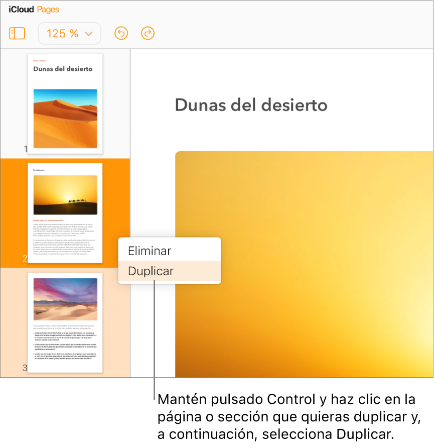 Miniaturas de página para un documento de procesamiento de texto con varias páginas en la barra lateral izquierda, con la página seleccionada resaltada en naranja oscuro y otra página de la misma sección resaltada en naranja claro. Un menú desplegable tiene opciones para Eliminar o Duplicar la sección seleccionada.