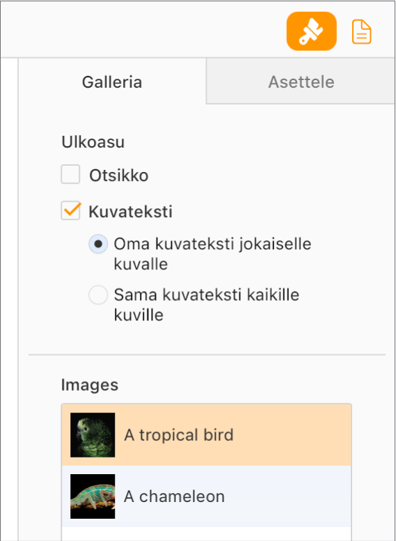 Kuvassa on Muoto-sivupalkin Galleria-välilehti. Kuvatekstit-valintaneliö on valittuna. Lisäksi näkyvissä on asetus, jolla voidaan käyttää omaa kuvatekstiä kussakin kuvassa, ja asetus, jolla voidaan käyttää samaa kuvatekstiä kaikissa kuvissa. Toimintojen alla ovat kunkin kuvan miniatyyrit ja kuvatekstit niiden oikealla puolella.