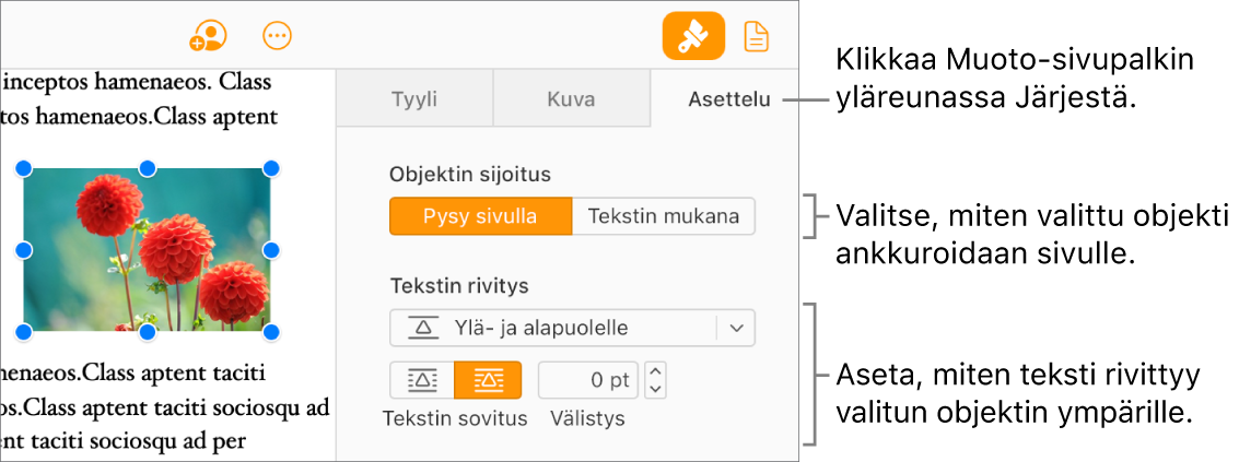 Dokumentin leipätekstissä on valittuna kuva. Muoto-sivupalkin Asettelu-ruudusta näkyy, että objekti on määritetty pysymään sivulla ja että teksti on rivitetty objektin ylä- ja alapuolelle.