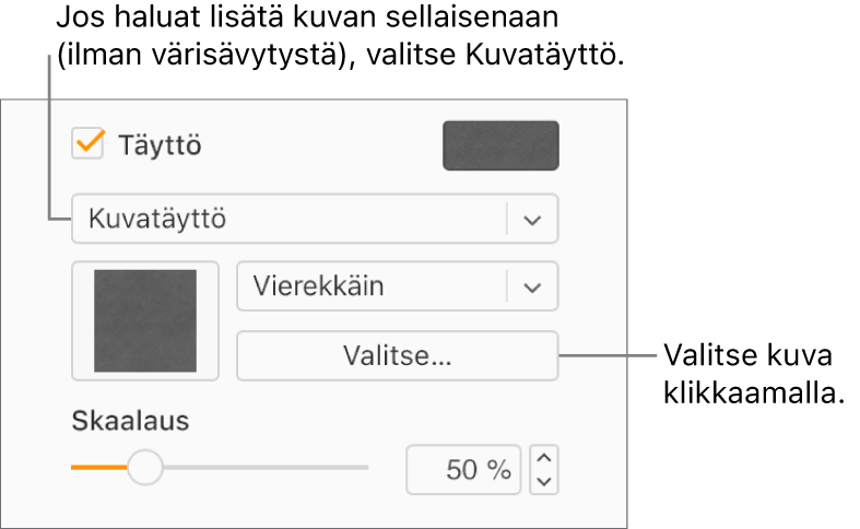 Sivupalkissa on valittuna Täyttö-valintaneliö, jonka alla olevassa ponnahdusvalikossa on valittuna Kuvatäyttö. Toiminnot kuvan valitsemista, sen objektin täyttötavan valintaa ja kuvan skaalaamista varten ovat ponnahdusvalikon alla. Väritäytön esikatselu näkyy neliössä (kun kuva on valittu).