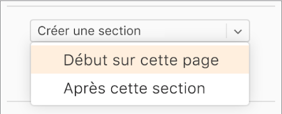 Le menu local Créer une section s’ouvre, et l’option Début sur cette page est sélectionnée.