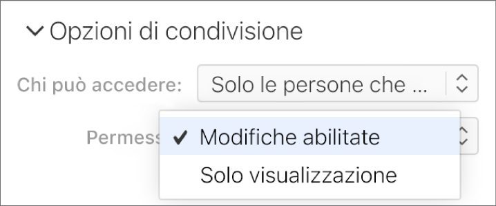 Il menu a comparsa Autorizzazione in “Opzioni di condivisione” è aperto, con opzioni che consentono di apportare modifiche al documento o di visualizzarlo soltanto.