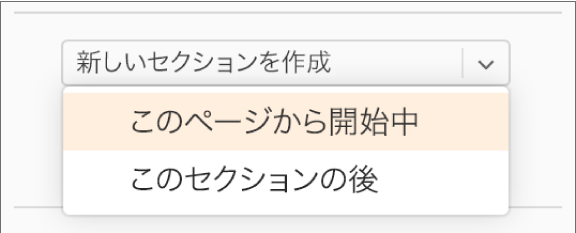 「新規セクションを作成」ポップアップメニューが開き、「このページから開始」が選択されています。