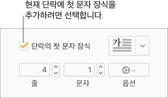 단락의 첫 문자 장식 체크박스가 선택되어 있고 팝업 메뉴가 그 오른쪽에 나타나며, 줄 높이, 문자 수 및 기타 옵션을 설정하는 제어기가 그 아래에 표시됩니다.