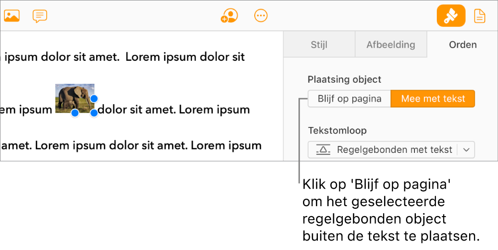 Een regelgebonden afbeelding in de hoofdtekst van een document is geselecteerd, en de knop 'Blijf op pagina' is zichtbaar in het tabblad 'Orden' in de navigatiekolom.