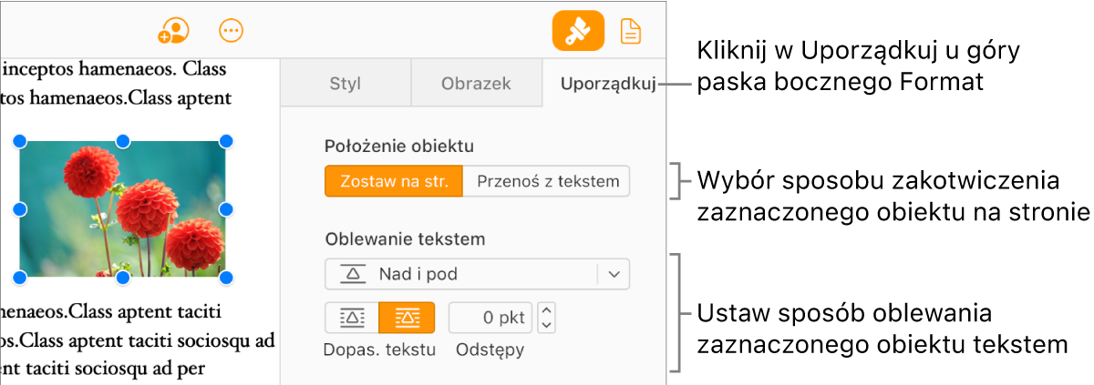 W treści dokumentu zaznaczony jest obrazek; na karcie Uporządkuj na pasku bocznym Format widać, że dla obiektu ustawiona jest opcja Zostaw na str., z zawijaniem tekstu nad i pod obiektem.