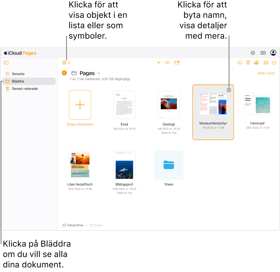 Dokumenthanteraren i bläddringsvyn, med Pages-dokument som symboler i ett rutnät. Merknappen (tre punkter) visas i det övre högra hörnet av det markerade dokumentet. På vänstra sidan av verktygsfältet ovanför dokumentet finns en popupmeny där du kan välja att visa objekt som symboler eller i en lista. Till höger på verktygsfältet finns knappar för att hämta, samarbeta, skicka mejl och radera.