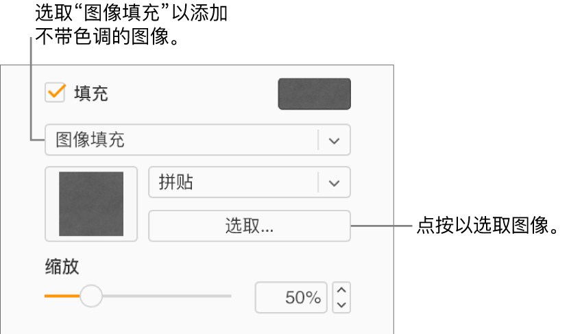 已选中边栏中的“填充”复选框，且在复选框下方的弹出式菜单中选取了“图像填充”。用于选取图像、对象填充方式以及图像比例的控制显示在该弹出式菜单的下方。图像填充的预览出现在方框中（当图像被选中后）。