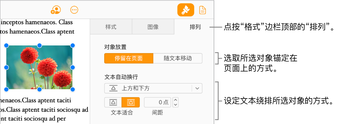 在文稿正文中选中的图像;“格式”边栏的“排列”标签显示对象已设置为“停留在页面”,文本环绕在对象的上方和下方。