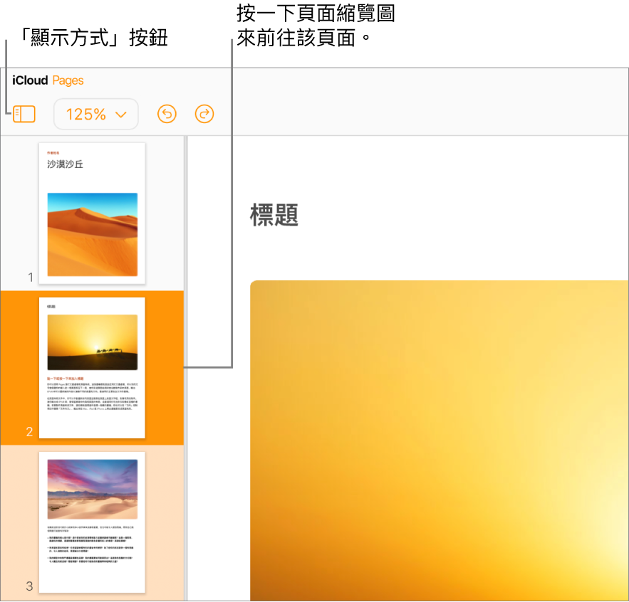 畫面左側的「頁面縮覽圖」，已選取一個頁面。「顯示方式」按鈕位於縮覽圖上方的工具列中。