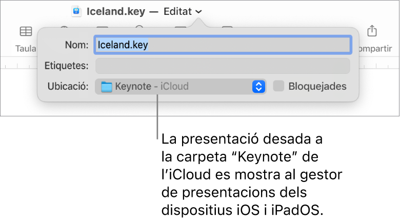 El quadre de diàleg Desar per a una presentació, amb “Keynote - iCloud” al menú desplegable Ubicació.