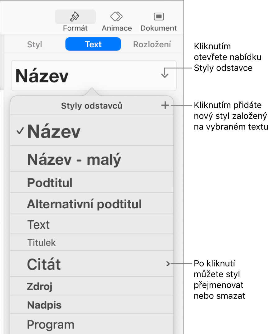 Nabídka Styly odstavců s ovládacími prvky pro přidání nebo změnu stylu