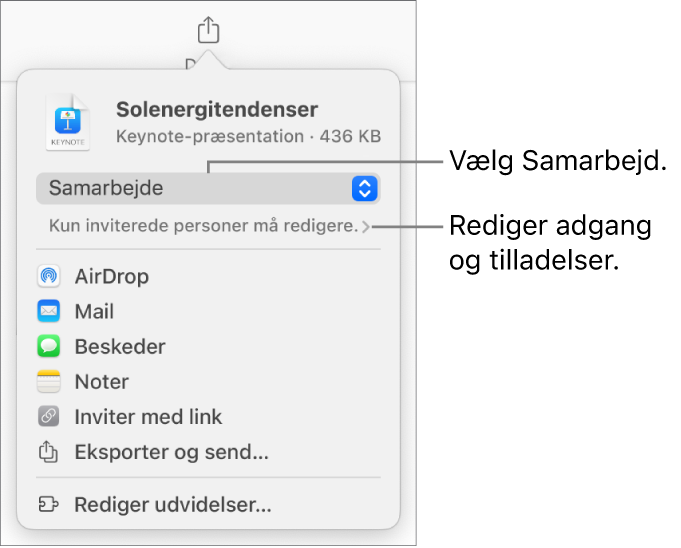 Menuen Del med Samarbejde valgt øverst og adgangs- samt tilladelsesindstillinger nedenunder.