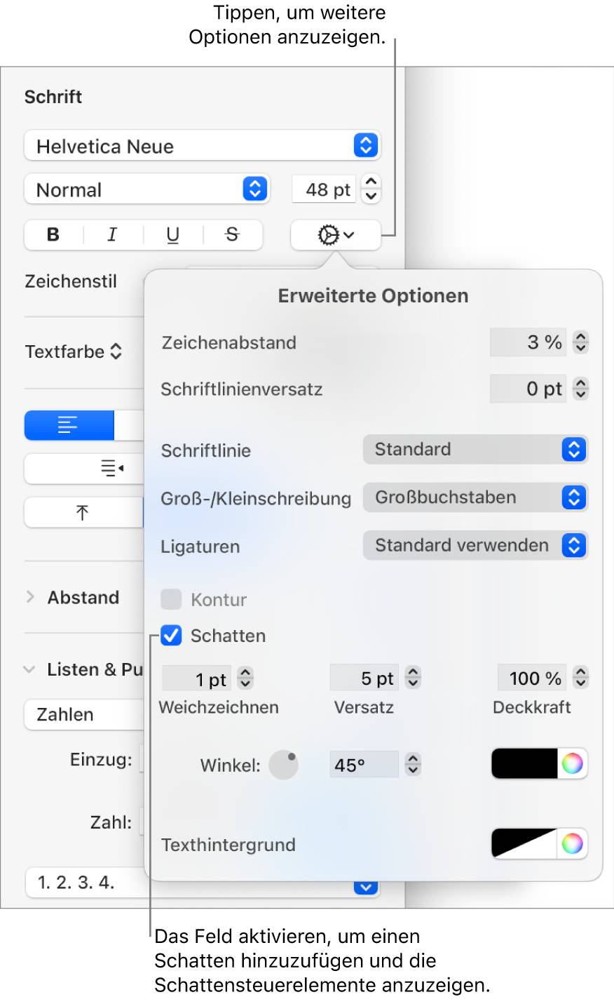 Der geöffnete Bereich „Erweiterte Optionen“ mit der aktivierten Option „Schatten“ und Steuerelementen zum Konfigurieren von „Weichzeichnen“, „Versatz“, „Deckkraft“ und „Winkel“ sowie der Farbe.