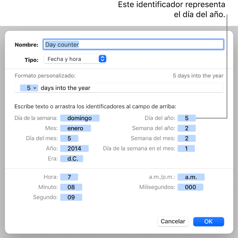 Ventana de formato de celda personalizado con controles para crear un formato de fecha y hora personalizado.