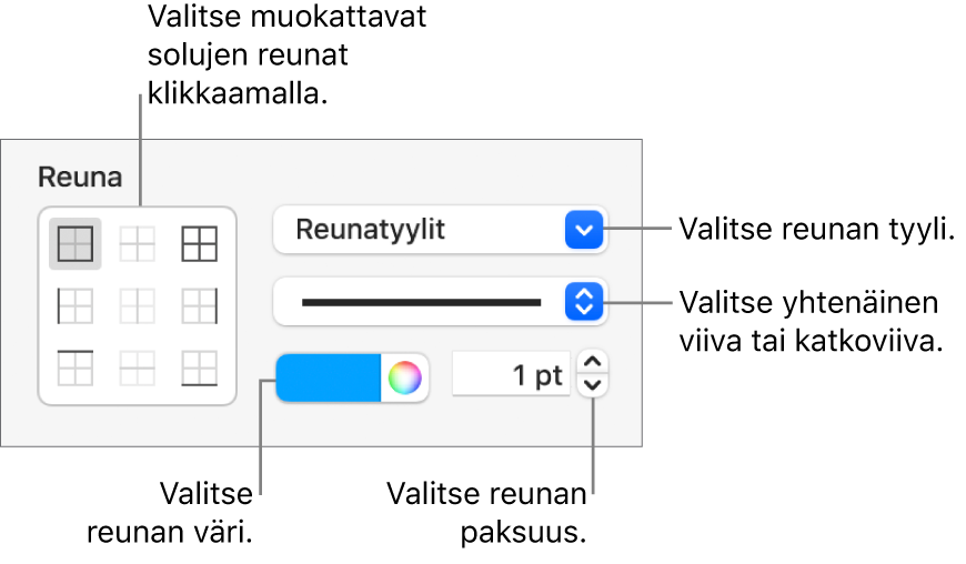 Sivupalkkisäätimet solun reunojen ulkoasun muuttamiseen.