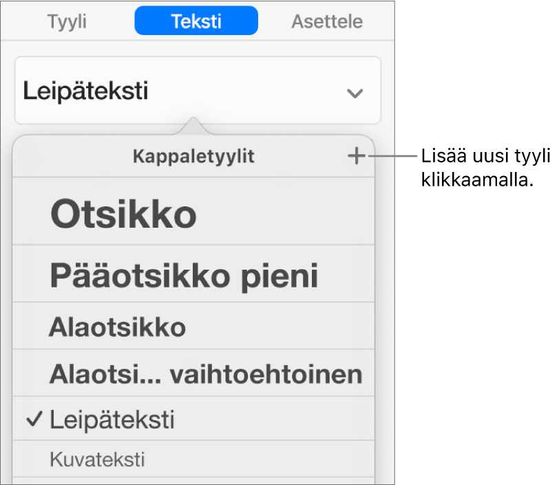 Kappaletyylit-valikko, jossa on Uusi tyyli -painikkeen selite.