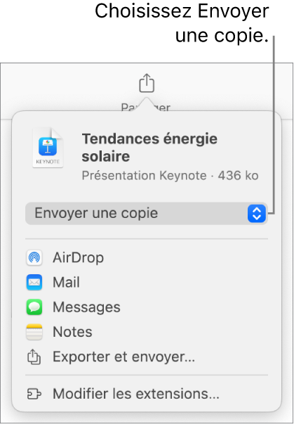 Le menu Partager avec l’option Envoyer une copie sélectionnée dans le haut.