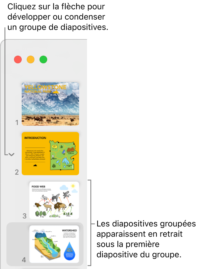 Navigateur de diapositives affichant des diapositives en retrait.