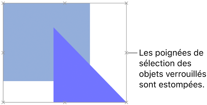 Des objets verrouillés présentant des poignées de sélection grisées.