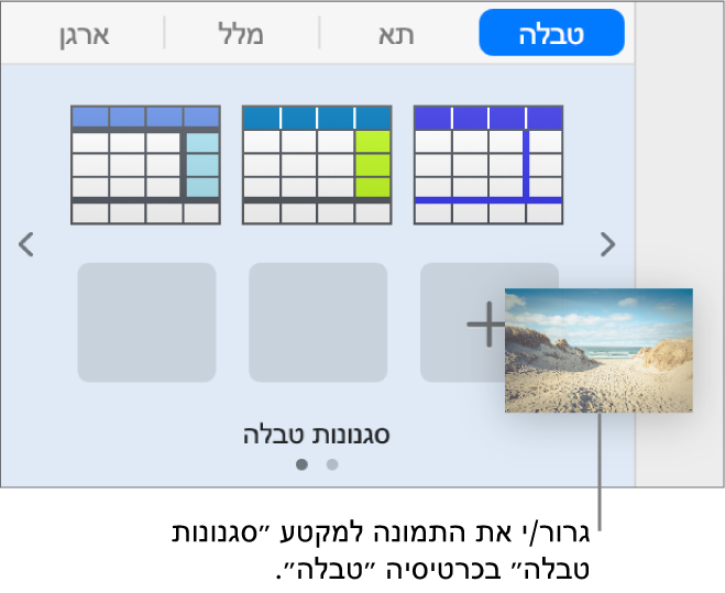 גרירת תמונה לסגנונות הטבלה כדי ליצור סגנון חדש.