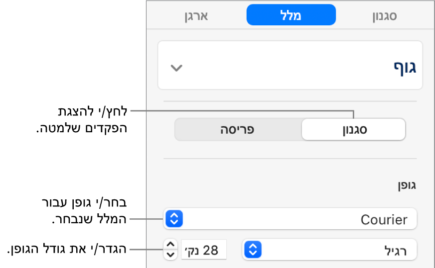 כלי בקרה של מלל במקטע ״סגנון״ של סרגל הצד להגדרת גופן וגודל גופן.