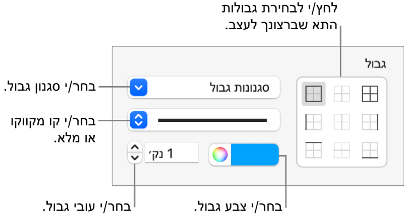 כלי הבקרה בסרגל הצד המיועדים לשינוי המראה של גבולות תאים.