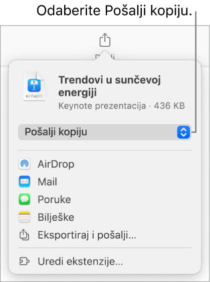 Izbornik dijeljenja s odabranom opcijom Pošalji kopiju pri vrhu.