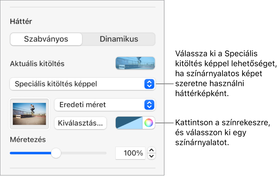 A Háttér vezérlők egy, a dia háttereként beállított színárnyalatos Speciális kitöltés képpel.