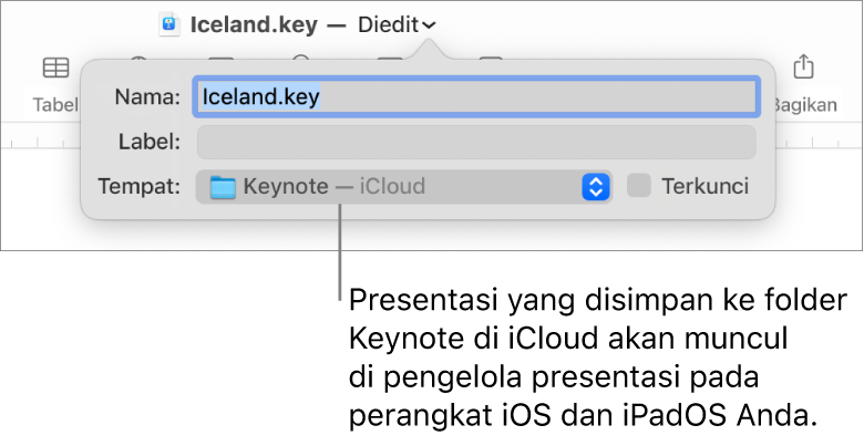 Dialog Simpan untuk presentasi dengan Keynote—iCloud di menu pop-up Tempat.