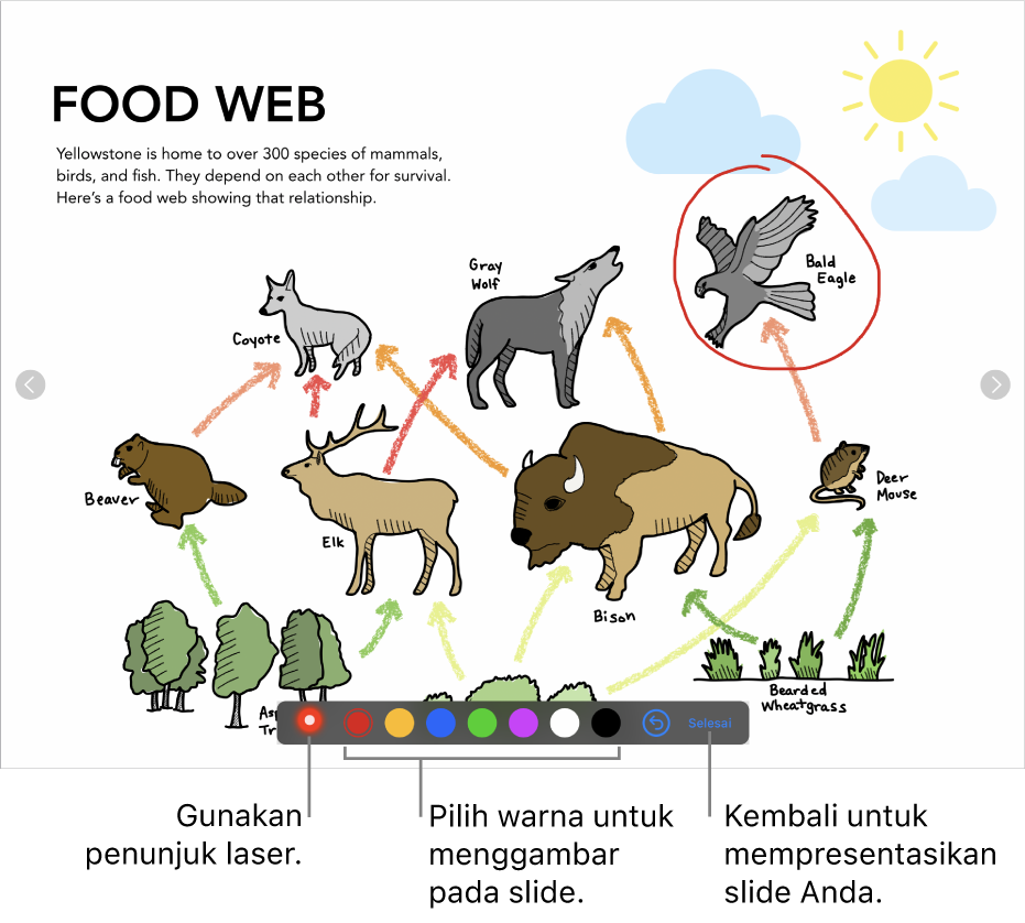 Slide dalam mode ilustrasi slide menampilkan penunjuk laser dan kontrol pilihan warna.