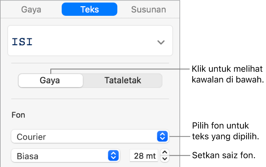 Kawalan Teks dalam bahagian Gaya pada bar sisi untuk mengesetkan fon dan saiz fon.