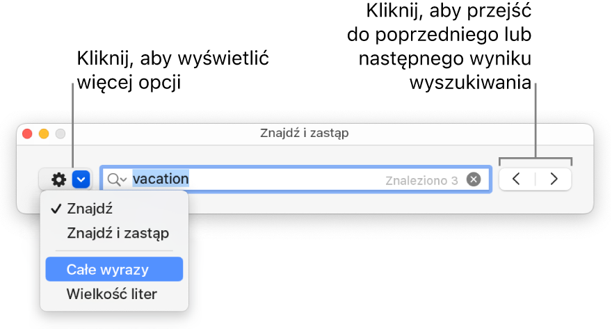 Okno Znajdź i zastąp z menu podręcznym zawierającym opcje Znajdź, Znajdź i zastąp, Całe wyrazy oraz Wielkość liter. Strzałki znajdujące się po prawej umożliwiają przechodzenie do poprzedniego lub następnego wyniku wyszukiwania.