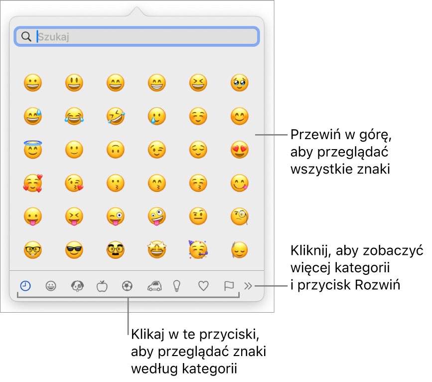 Pole podręczne Znaki specjalne zawierające emotikony. Na dole znajdują się przyciski różnych typów symboli oraz objaśnienie wskazujące przycisk pokazujący pełne okno znaków.