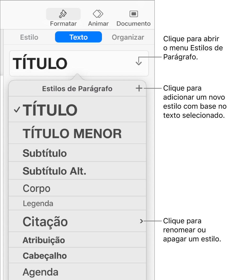 Menu Estilos de Parágrafo, exibindo os controles para adicionar ou alterar um estilo.