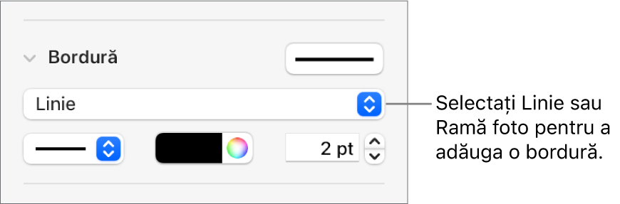Comenzile pentru stilurile de bordură din bara laterală Format cu opțiunea Linie selectată drept tip de bordură.