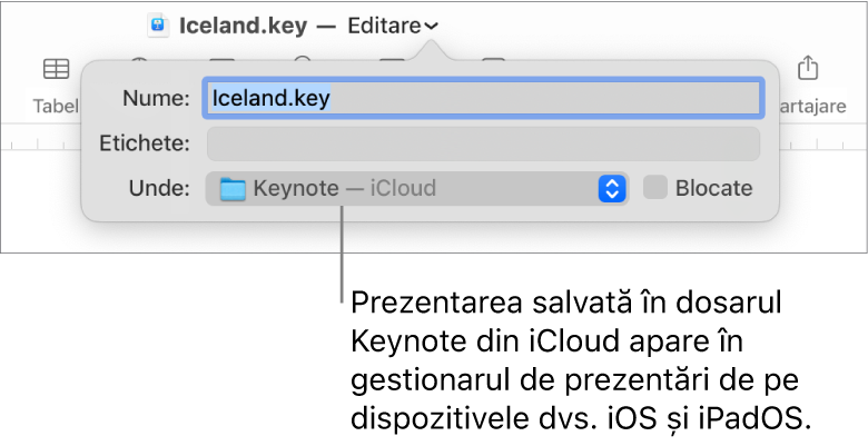 Dialogul Salvează pentru o prezentare, cu Keynote - iCloud în meniul pop‑up Unde.