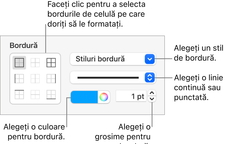 Comenzile din bara laterală pentru modificarea aspectului bordurilor celulelor.