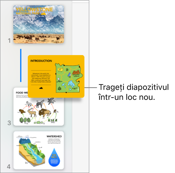 Navigatorul de diapozitive afișând miniatura unui diapozitiv reordonat, cu o linie în stânga.