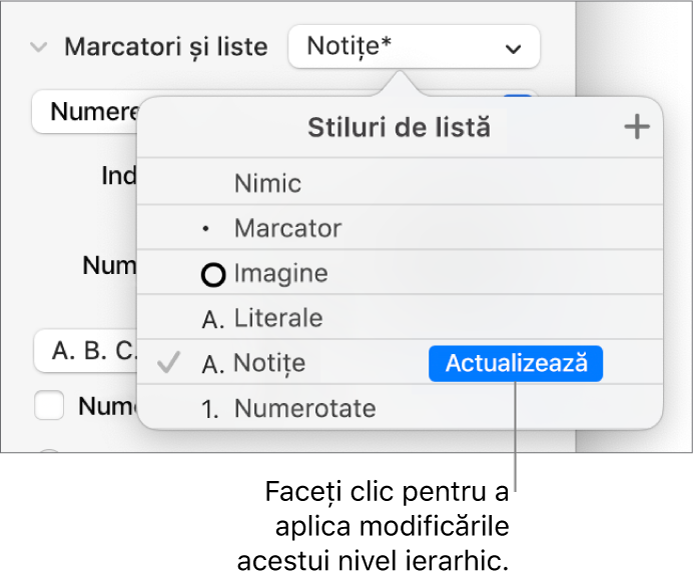 Meniul pop-up Stiluri de listă, cu un buton Actualizează lângă numele noului stil.