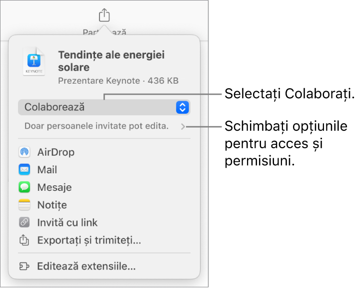 Meniul Partajați, cu opțiunea Colaborați selectată în partea de sus și configurările de acces și permisiune dedesubt.