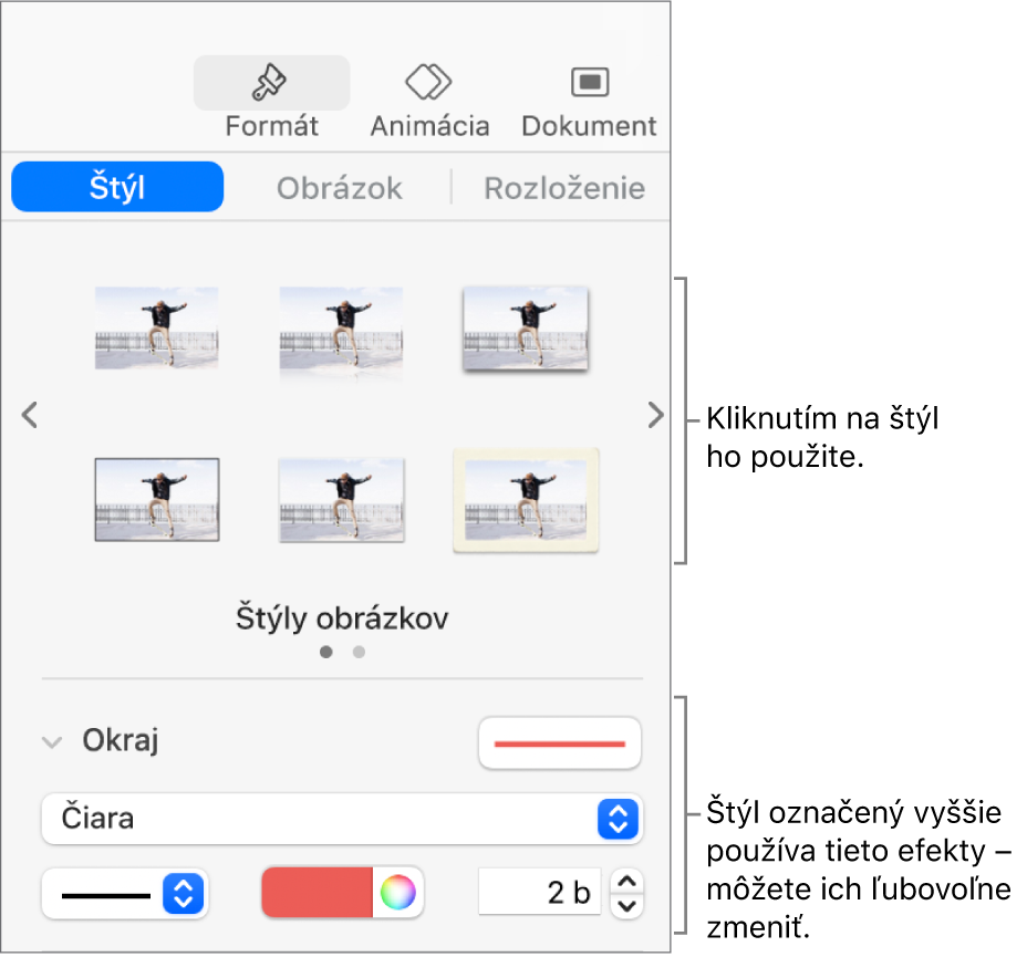 Záložka Štýl na postrannom paneli Formát zobrazujúca možnosti štýlu objektu.