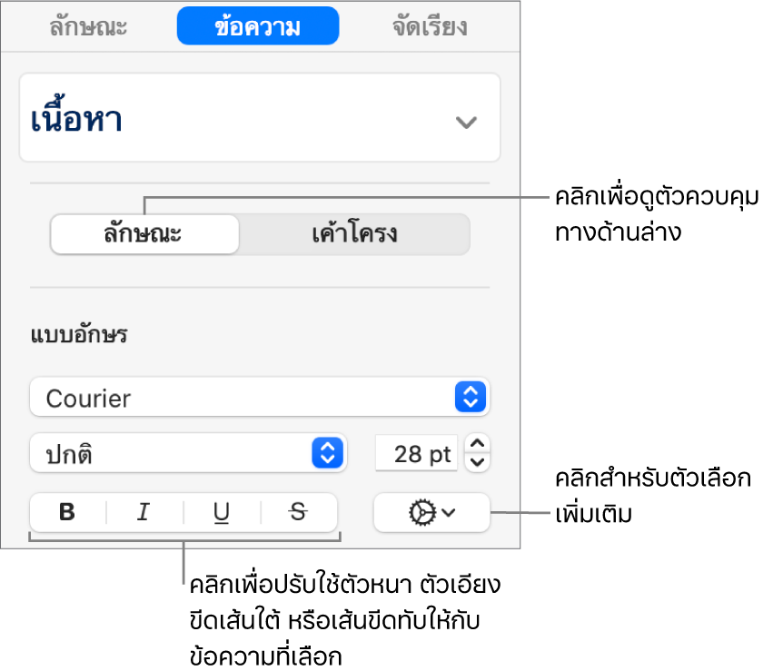 ตัวควบคุมลักษณะในแถบด้านข้างพร้อมคำอธิบายปุ่มตัวหนา ตัวเอียง ขีดเส้นใต้ และขีดทับ