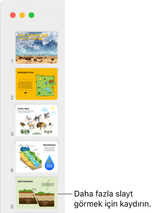 Ardışık sırada düşey olarak beş slayt gösteren, daha fazla slayt görüntülemek için aşağı kaydır seçeneği ile slayt gezgini.