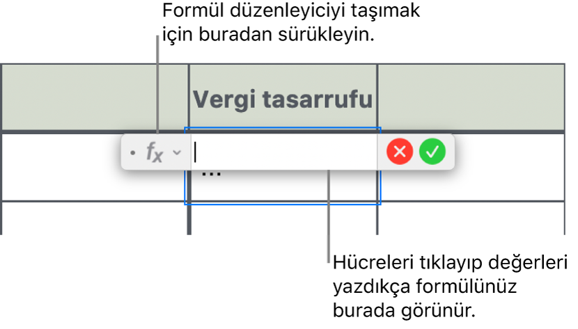 Formül Düzenleyici.