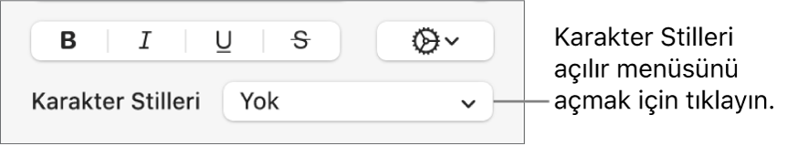 Metin stilini ve rengini değiştirme denetimlerinin alt tarafında Karakter Stilleri açılır menüsü.