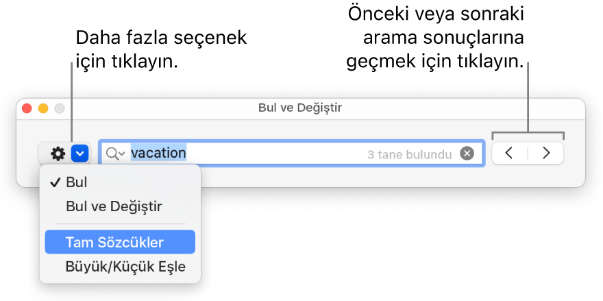 Bul ve Değiştir penceresi; Bul, Bul ve Değiştir, Tam Sözcükler ve Büyük/Küçük Eşle seçeneklerini gösteren açılır menüyü içerir. Sağ taraftaki oklar, önceki veya sonraki arama sonuçlarına gitmenizi sağlar.